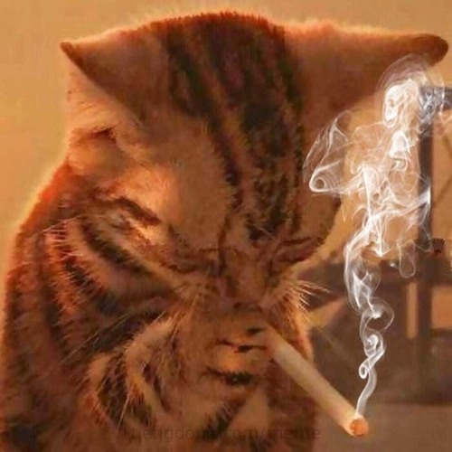 lucidbeats- Dance with me