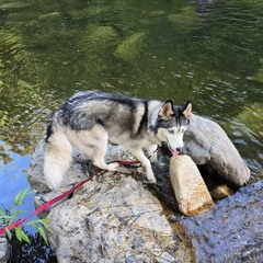 Better off unsaid. (prod michael harrison)