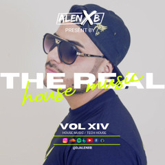 The Real House Music 14 (Alenx B Live Set)