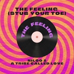 The Feeling (Stub Your Toe) - Brand Nubian Topliner edit
