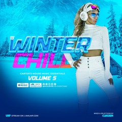 DVJ Carter LMP - Winter Chill Volume 5 IAMLMP.COM (2022)