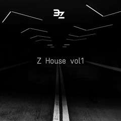 No Party - 3Z ft SubZ (Extended Mix )