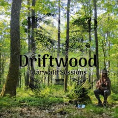 03 Poltergeist - Driftwood - Idarwald Sessions