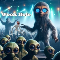 Wook Hole