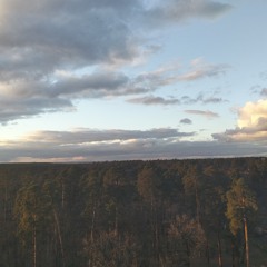 Сірим маревом дим