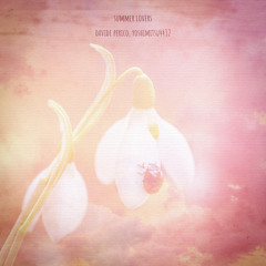 summer lovers