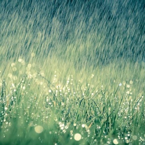 Deerock romantic background music (FREE DOWNLOAD)