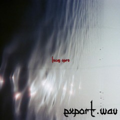 Export .wav