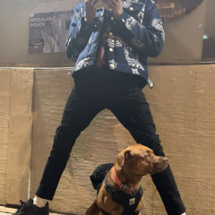 Bussin (diss track)  #1