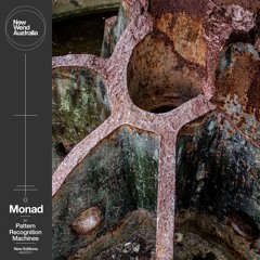 Pattern Recognition Machines - Monad | NWAED011