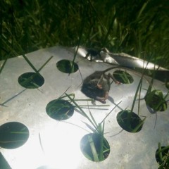 lil ugly mane - collapse and appear (loop)