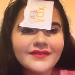 vox had a gay experience