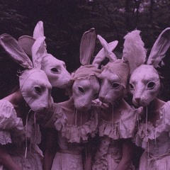 velli - bunnie p.velli