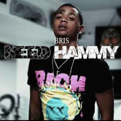 Bris - Need Hammy