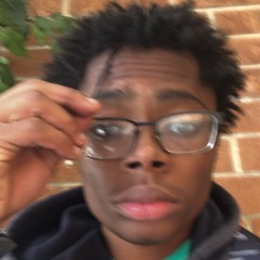 InThisBitxh3 (GLOCK) #SINNYWORLD #COB007