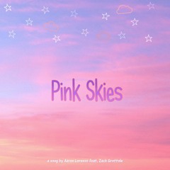 Pink Skies (feat. Zach Grottole)