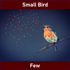 Small Bird - Few (Bristol 2025)
