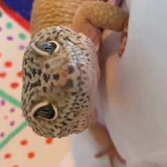 Rotten Potato - DEMO