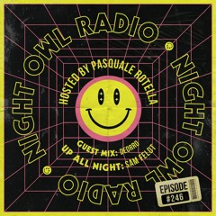 Night Owl Radio 246 ft. Sam Feldt and Deorro