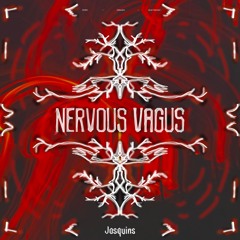Nervous Vagus