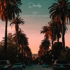 Avicii - Levels vs. Gotye - Somebody That I Used To Know [Mashup #1]