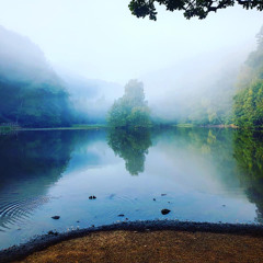 Fog inside the brain. To be awake a foggy day.