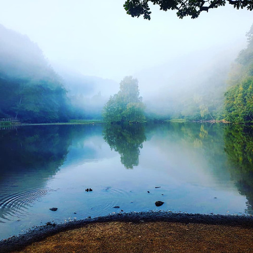 Fog inside the brain. To be awake a foggy day.