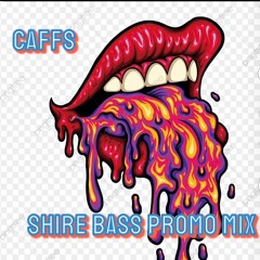 Shire Bass Promo Mix By Caffs