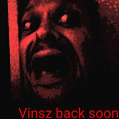 Vinsz back soon