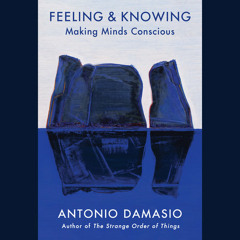 Feeling & Knowing by Antonio Damasio, read by Julian Morris