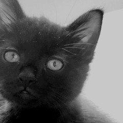 4-deck Funky House mix 24thAug2023 (free download in description)