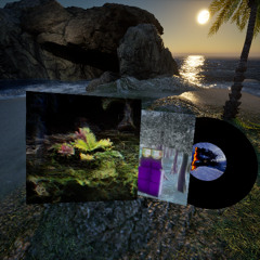 "Blossom Echoes" Album Mix