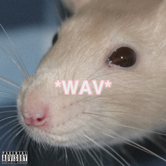 packrat.wav (prod. LethalNeedle)