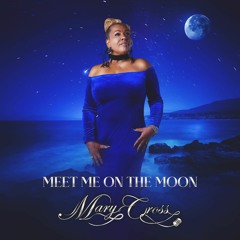 Meet Me On The Moon