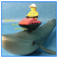 Horns and whales