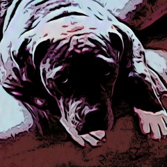 Big bands and gucci bags pt1