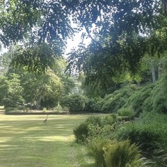 RAll3 & Web - Settle Down