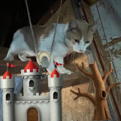 @skeeb0jj 2025 fall clips 1