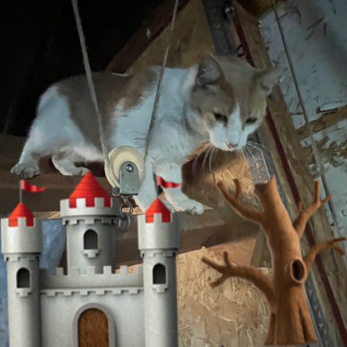 @skeeb0jj 2025 fall clips 1