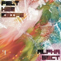 Alpha Sect - Felt Her Knife [CRAVE012 | Premiere]