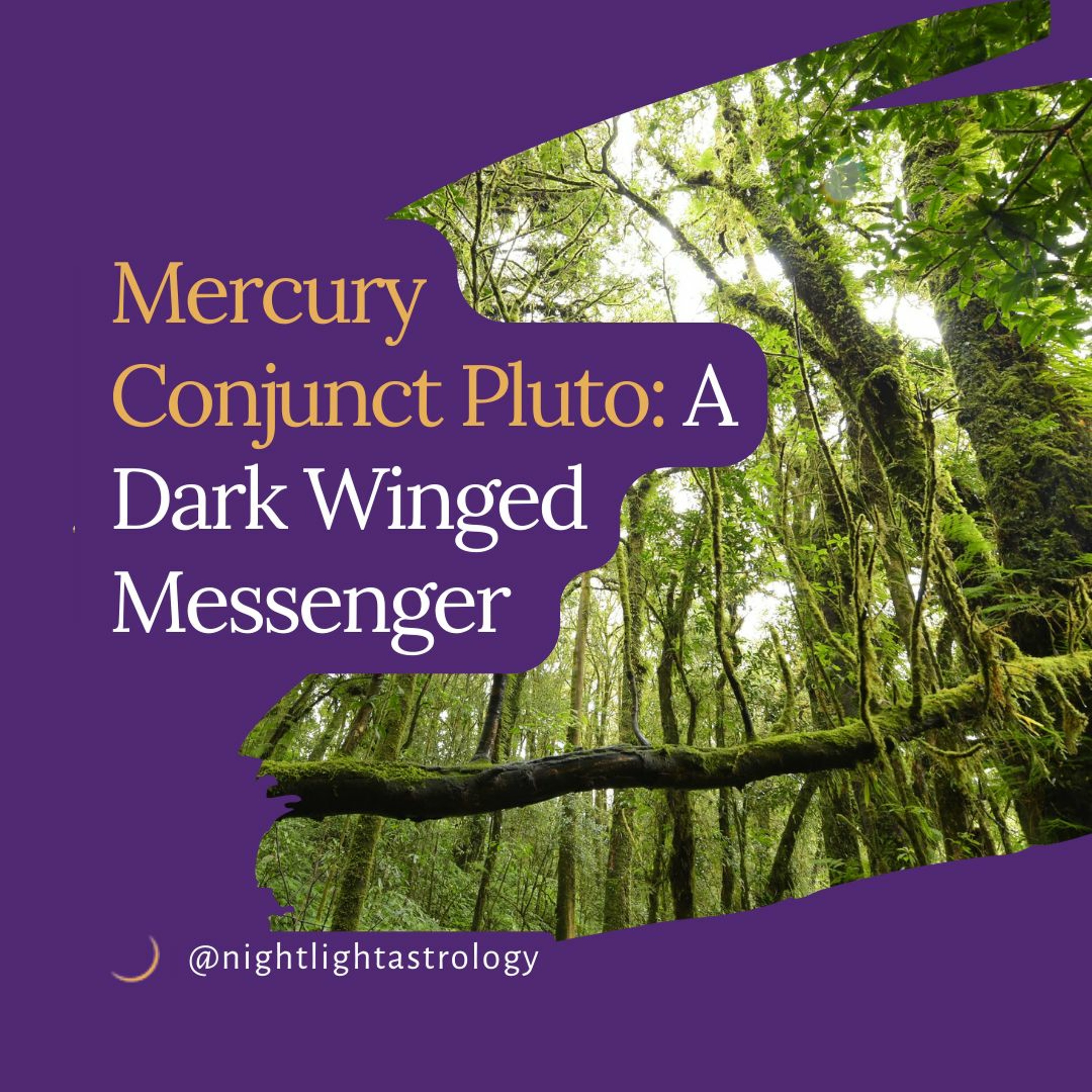 North Node Conjunct Pluto Transit - h0dzzag