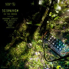 Scionaugh & Unknown Concept - Super Slender Skyscrapers (Original Mix) [Alpaka Muzik]