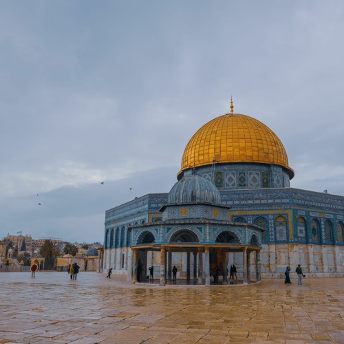 وَاللَّهُ يُرِيدُ أَن يَتُوبَ عَلَيْكُمْ -❤️  تلاوة مريحة الشيخ محمد اللحيدان