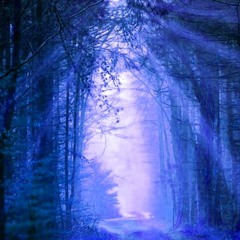 NightWalk (KorgNTS1&SecialDrums)