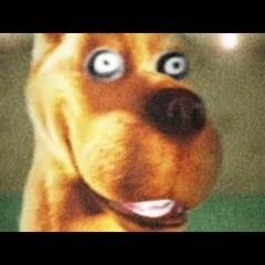 1 Hour Of Silence Interrupted By Scooby Doo Laugh At Random Times