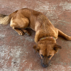 some kind of drug addict