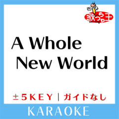 A Whole New World (原曲歌手:Peabo Bryson & Regina Belle)