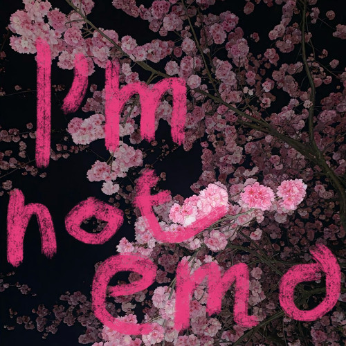 Stream I’m not emo by Prince Swings | Listen online for free on SoundCloud