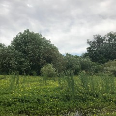 Clairo - Bags (777 Remix)