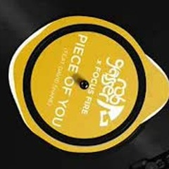Rob Gasser x Focus Fire - Piece Of You (feat. David Shane)